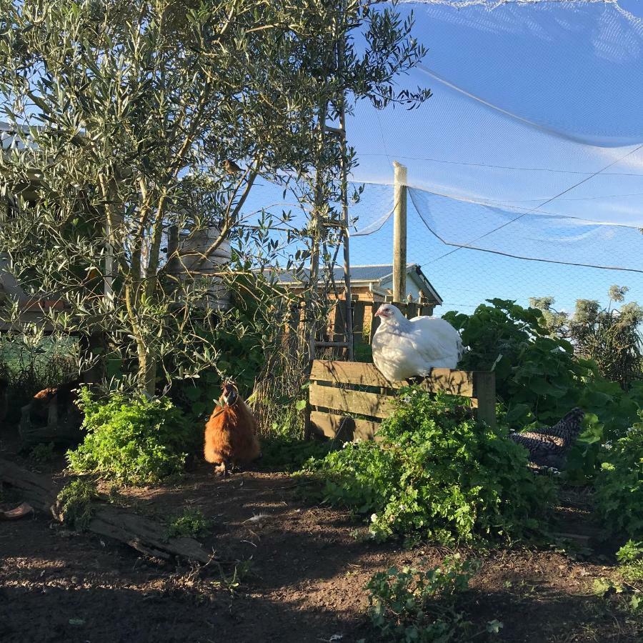 Langleys Port Campbell Hobby Farm Lejlighed Eksteriør billede